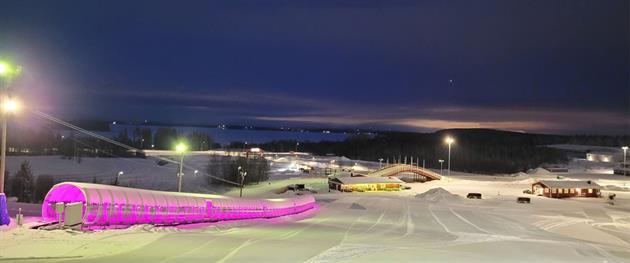 Kvällsbild nedför backan