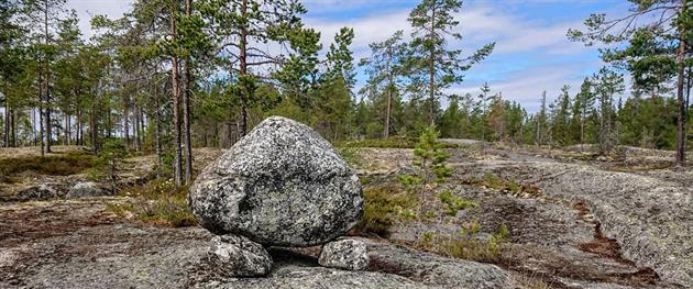 Liggande hönan längs Arkeologstigen, Karin Stare