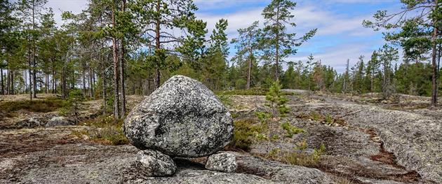 Liggande hönan - Arkeologstigen, Karin Stare