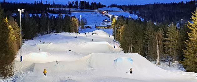 Lindbäcksstadions backar uppifrån