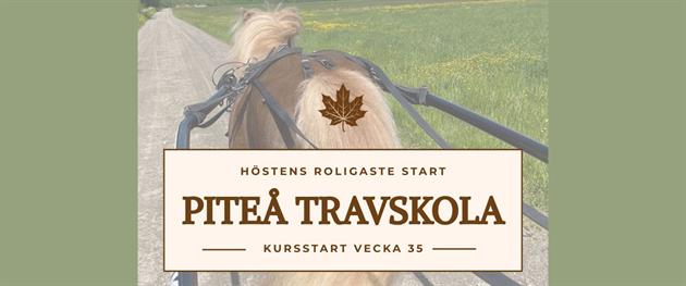 Kursstart Piteå travskola