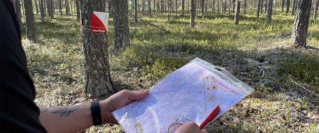 Naturpasset i händerna ute i skogen, Sara Holm