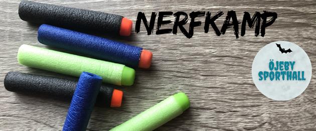 Nerfkamp