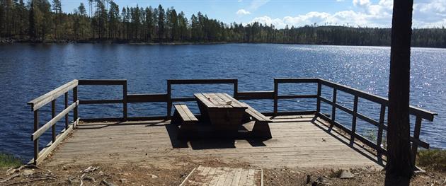 Pithoursträsket accessible fishing spot, Terese Lindbäck