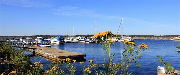 Renöhamn, Stina Eriksson