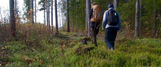 Senhöst vandring på Solanderleden, Anitha Fåraeus