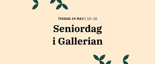 Seniordag
