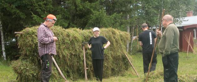Slåtter