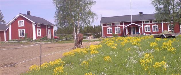 A view over the farm at Jennie Dahlberg, Jennie Dahlberg