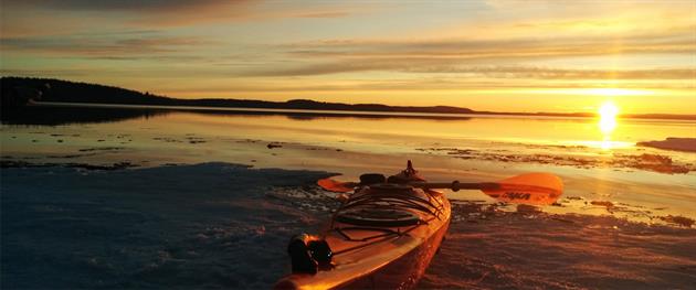Strandhugg i kvällssol, Piteå Kajak