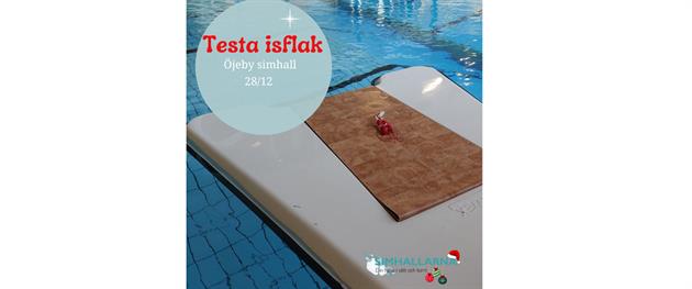 Testa isflak