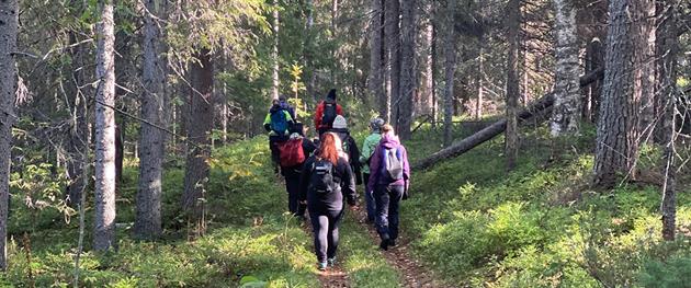 Grupp av vandrare längs leden, Stina Eriksson