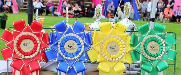 Prize rosettes