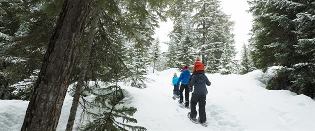 Snöskor, Direct Nordic Travel