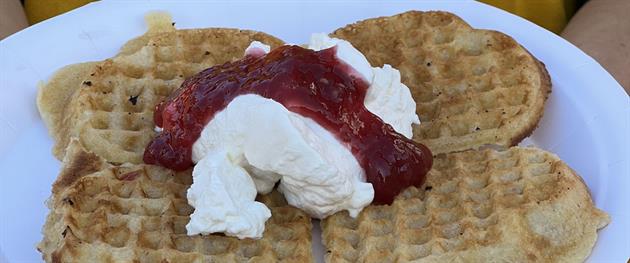 Våfflor på solandergården