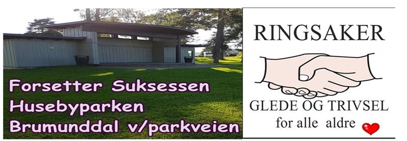 Plakat Ringsaker glede og trivsel for alle Første sammenkomsten Husebyparken