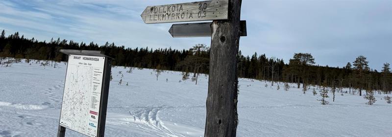 Plakat Skitur med hodelykt på Vollkoia for unge voksne