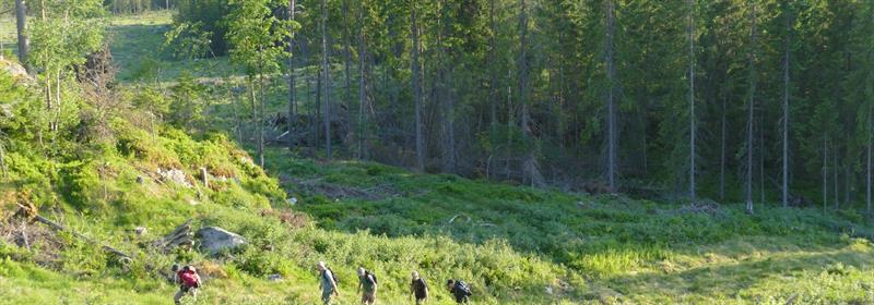 Plakat HHT Onsdagsgruppa: Tur fra Sigfridstad - Bygdeberget rundt i Åsbygda