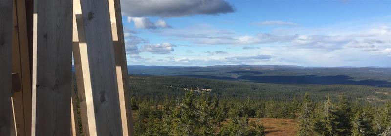 Plakat Barnas Turlag: Tur til Gjetholen (Gitvola)