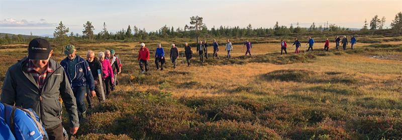 Plakat Tirsdagstrampen: Rundtur i Svanlia