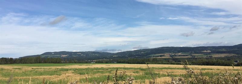 Plakat 3 høgder på rad.  Åshagahøgda - Høgsvea – Høsbjørkampen