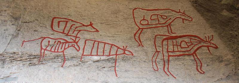 Plakat Opplevelsestur til Steinsholmen og Mjøskastellet med Barnas Turlag