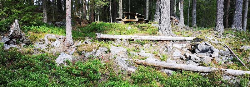 Plakat Nytteveksttur i samarbeid med Hexeringen sopp og nyttevekstforening