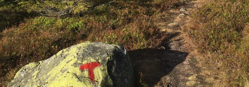 Plakat Dagstur til Skreikampen