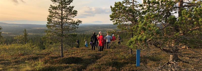 Plakat Tirsdagstrampen: Rundtur fra Målia med årsavslutning på Stouslandhytta