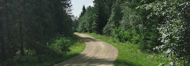 Plakat Barnas Turlag: Sykkeltur i Mosjømarka i Løten