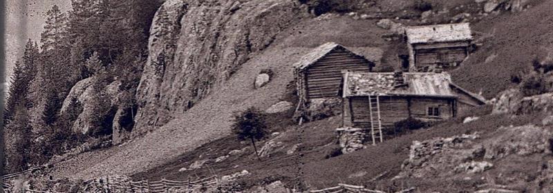 Husmannsplassvandring i Brunkeberg - Vest-Telemark.no