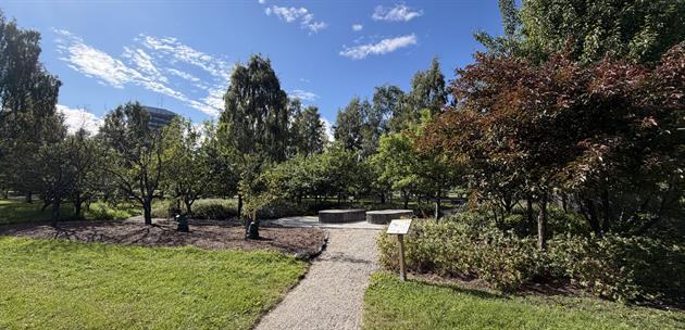 Fruktparken, Piteå Turistcenter