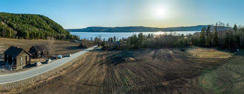 Plakat Sett en potet og se hvor mange det blir