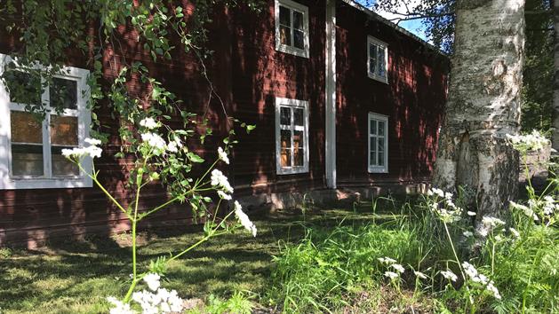 Blommor vid Sjulnäs garveri