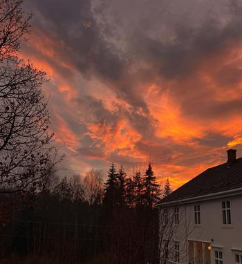 Gratis tegnekveld på bruket!