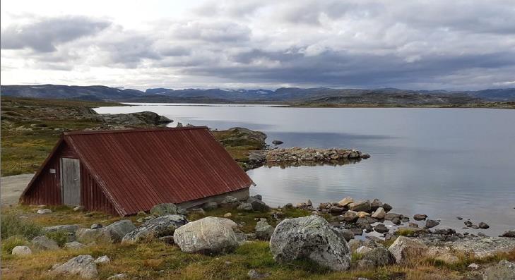 Aller første Viking festival over tregrense på Fagerheim Fjellstugu