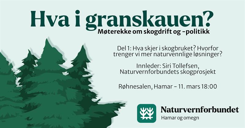 Plakat Hva i granskauen? Møterekke om skog del 1