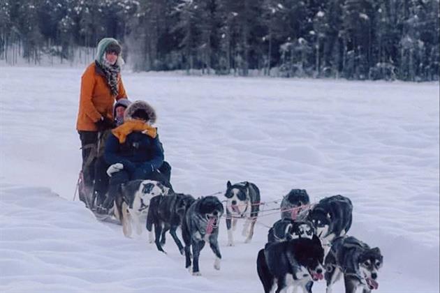 Hundspann i snön, Direct North Travel