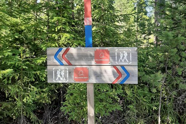 Solanderleden