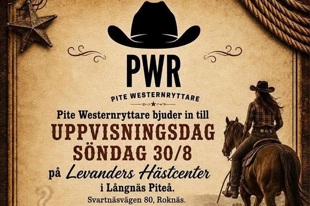 Uppvisningsdag