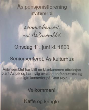 Arrangementsbilde