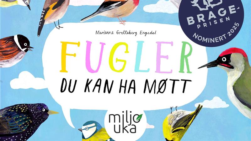 Plakat Fuglefest på Stange bibliotek