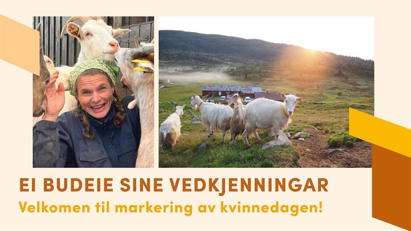 8.mars markering: Ei budeie sine vedkjenningar - Vest-Telemark.no