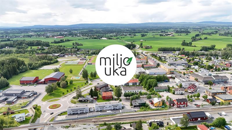 Plakat Grønn aktivitetsløype for barn