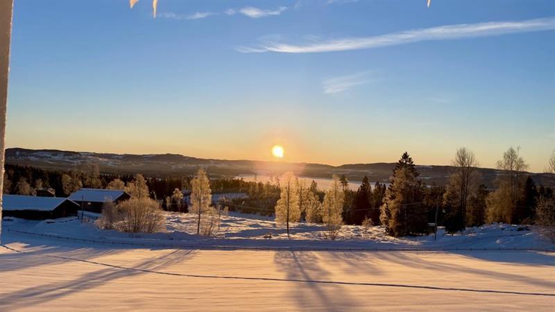 Plakat Spiseforstyrrelser hos barn og unge