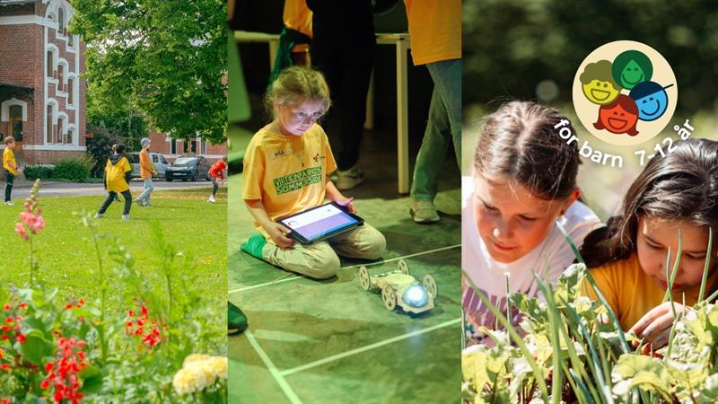 Plakat Sommerskole for barn 7-12 år