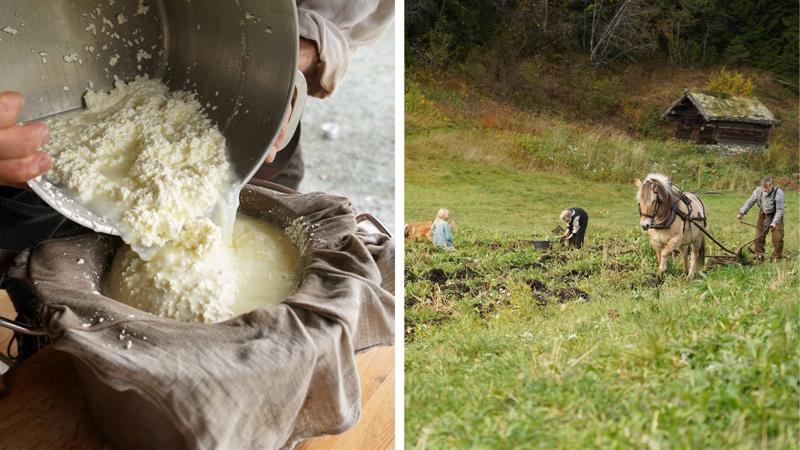 Ysting av ost og åkerarbeid med hest, Vest-Telemark museum.