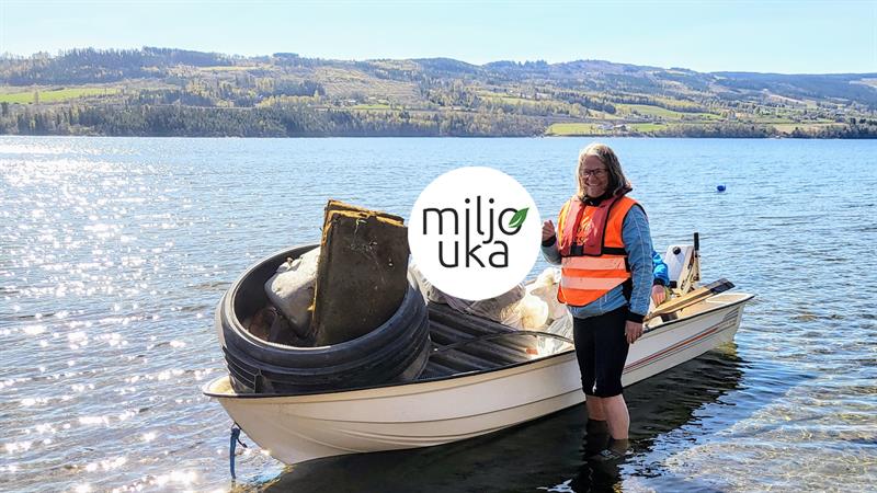 Plakat Strandrydding langs Mjøsa