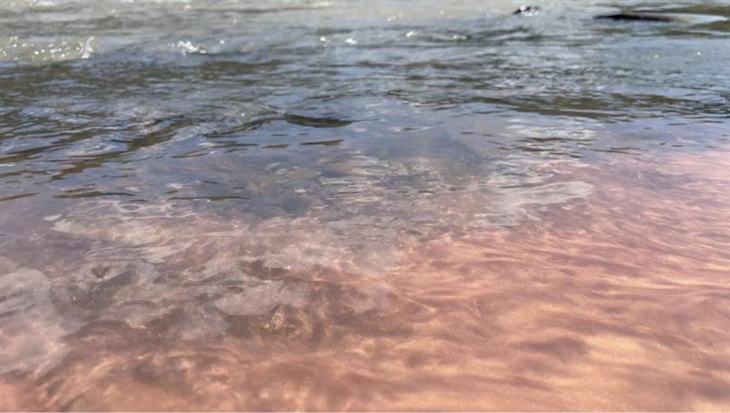 Robel Temesgen: Eye of a Water – ዐይነ-ውሃ, 2025-12-16T11:00:00, from 11.00 to 17.00