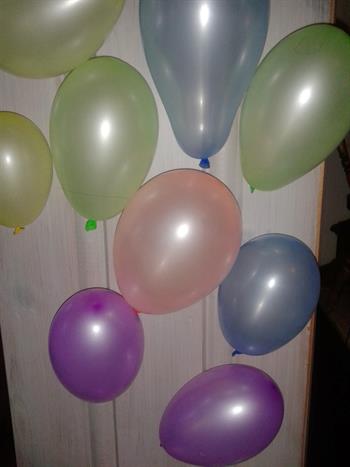 Garasjesalghelg i Skogbygda, Løten